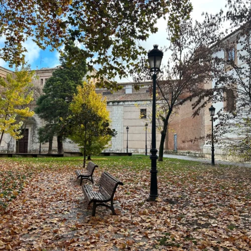 Facultad de Medicina de valladolid
