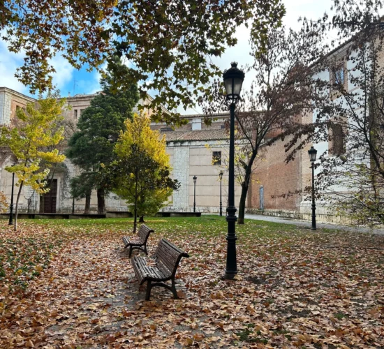 Facultad de Medicina de valladolid
