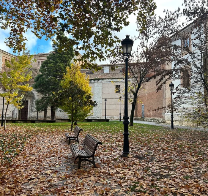 Facultad de Medicina de valladolid